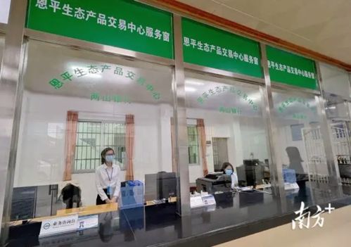 綠水青山變金山銀山 恩平生態產品交易中心成立，家政服務助力生態價值轉化